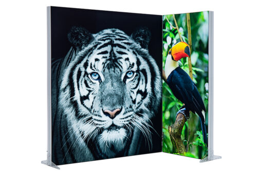 Expo Lightbox stands