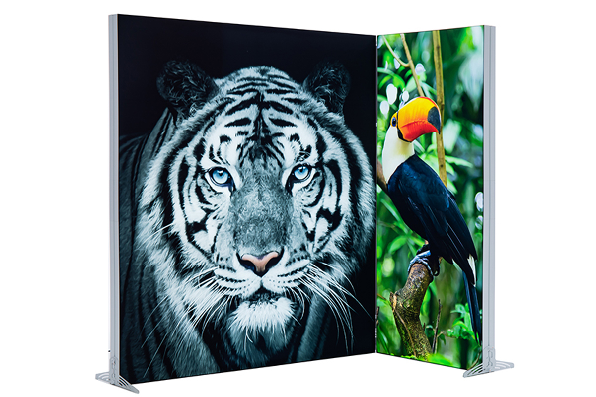 Expo Lightbox stands